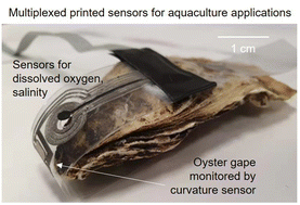 Graphical abstract: Multiplexed printed sensors for in situ monitoring in bivalve aquaculture