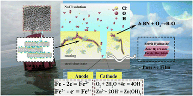 Graphical abstract: Design and enhanced anticorrosion performance of a Zn5Mo2O11·5H2O/h-BN nanocomposite with labyrinth of nanopores