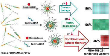 Graphical abstract: pH-Responsive, two-in-one doxorubicin and Bcl-2 siRNA-loaded micelleplexes for triple-negative breast cancer therapy