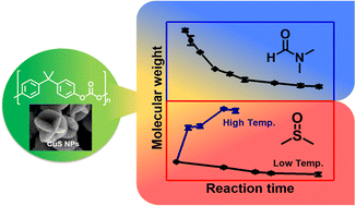 Graphical abstract: Solvent-induced competing processes in polycarbonate degradation: depolymerization, chain scission, and branching/crosslinking