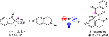 Graphical abstract: Photoredox-catalyzed sequential Dowd–Beckwith ring expansion and C–H functionalization of THIQs