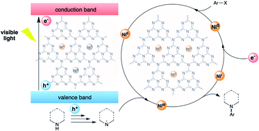 Graphical abstract: Ni single atoms on carbon nitride for visible-light-promoted full heterogeneous dual catalysis