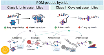 Graphical abstract: Polyoxometalate–peptide hybrid materials: from structure–property relationships to applications
