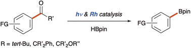 Graphical abstract: Merging the Norrish type I reaction and transition metal catalysis: photo- and Rh-promoted borylation of C–C σ-bonds of aryl ketones