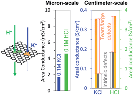 Graphical abstract: Deconstructing proton transport through atomically thin monolayer CVD graphene membranes