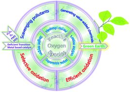 Graphical abstract: Reactive oxygen species on transition metal-based catalysts for sustainable environmental applications