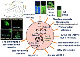 Graphical abstract: Solid-state emitting twisted π-conjugate as AIE-active DSE-gen: in vitro anticancer properties against FaDu and 4T1 with biocompatibility and bioimaging