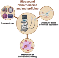 Graphical abstract: Ultrasound nanomedicine and materdicine