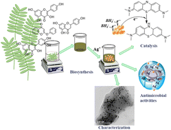 Graphical abstract: Catalytic degradation of methylene blue dye and antibacterial activity of biosynthesized silver nanoparticles using Peltophorum pterocarpum (DC.) leaves