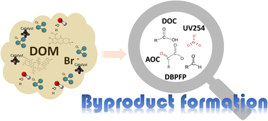 Graphical abstract: Byproduct formation in heterogeneous catalytic ozonation processes