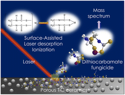 Graphical abstract: Direct detection of dithiocarbamate fungicides by SALDI/MS using porous TiC ceramic powder as a substrate