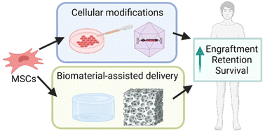 Graphical abstract: Cellular modifications and biomaterial design to improve mesenchymal stem cell transplantation
