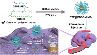 Graphical abstract: Facile synthesis of poly(disulfide)s through one-step oxidation polymerization for redox-responsive drug delivery