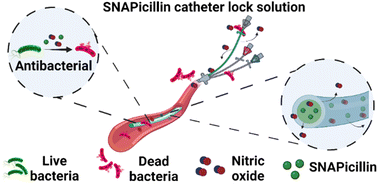 Graphical abstract: Antimicrobial efficacy of a nitric oxide-releasing ampicillin conjugate catheter lock solution on clinically-isolated antibiotic-resistant bacteria