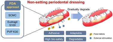 Graphical abstract: Adhesive and biodegradable polymer mixture composed of high -biosafety pharmaceutical excipients as non-setting periodontal dressing