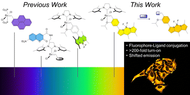 Graphical abstract: Red-shifted activity-based sensors for ethylene via direct conjugation of fluorophore to metal–carbene
