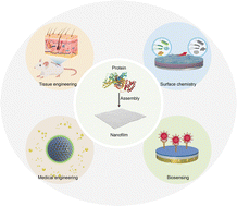 Graphical abstract: Protein-based bioactive coatings: from nanoarchitectonics to applications