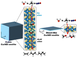 Graphical abstract: c-Axis-oriented sheet-like Cu/AEI zeolite contributes to continuous direct oxidation of methane to methanol
