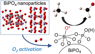 Graphical abstract: Bismuth phosphate nanoparticle catalyst for direct oxidation of methane into formaldehyde