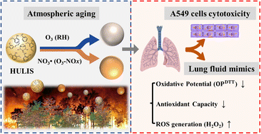 Graphical abstract: Atmospheric aging modifies the redox potential and toxicity of humic-like substances (HULIS) from biomass burning