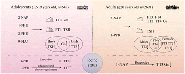 Graphical abstract: Association of exposure to polycyclic aromatic hydrocarbons with thyroid hormones in adolescents and adults, and the influence of the iodine status