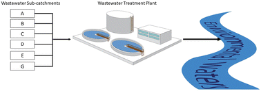 Graphical abstract: Spatial and temporal variability of micropollutants within a wastewater catchment system