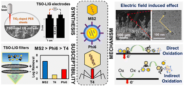 Graphical abstract: Electrochemical inactivation of enteric viruses MS2, T4, and Phi6 using doped laser-induced graphene electrodes and filters