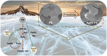 Graphical abstract: Freezing-induced microplastic degradation in an anoxic Fe(ii)-containing solution: the key role of Fe(iv) and ·OH