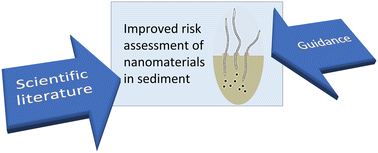 Graphical abstract: Ecotoxicity testing of nanomaterials in sediment – suggestions to improve science and regulation