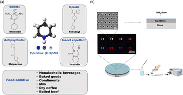 Graphical abstract: Plasmonic-based Raman sensor for ultra-sensitive detection of pharmaceutical waste