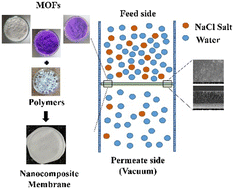 Graphical abstract: Preparation and characterization of ZIF-8 and ZIF-67 engineered PVDF mixed-matrix membranes: stability enhancement in pervaporation study