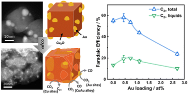 Graphical abstract: Operando insights into correlating CO coverage and Cu–Au alloying with the selectivity of Au NP-decorated Cu2O nanocubes during the electrocatalytic CO2 reduction