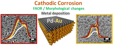 Graphical abstract: Metal deposition and electrocatalysis for elucidating structural changes of gold electrodes during cathodic corrosion
