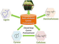 Graphical abstract: Characterization and molecular simulation of lignin in Cyrene pretreatment of switchgrass