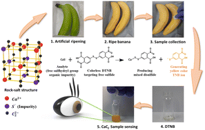 Graphical abstract: Colorimetric sensing of calcium carbide over banana peels using 5,5′-dithiobis-(2-nitrobenzoic acid) (DTNB) as a rapid chemoreceptor: a point of care tool for food fraud analysis