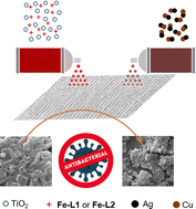 Graphical abstract: Oxide anchored multi-charged metal complexes with binary nanoparticles for stable and efficient anti-bacterial coatings on cotton fabrics