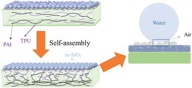 Graphical abstract: Self-assembly of hierarchical porous structure for stretchable superhydrophobic films by delicately controlling the surface energy