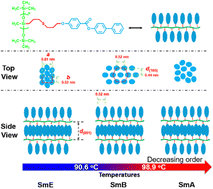 Graphical abstract: Finely tuning the self-assembled architectures of liquid crystal polymers by molecular engineering: phase transitions derived from terminal group variations
