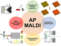 Graphical abstract: Nanoparticle-based applications by atmospheric pressure matrix assisted desorption/ionization mass spectrometry