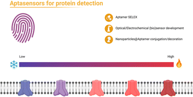Graphical abstract: Metallic nanostructure-based aptasensors for robust detection of proteins