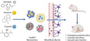 Graphical abstract: Nanoencapsulation of general anaesthetics