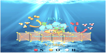 Graphical abstract: Construction of a BiVO4/VS-MoS2 S-scheme heterojunction for efficient photocatalytic nitrogen fixation