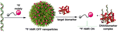 Graphical abstract: 19F NMR ON/OFF nanoparticles: a universal approach for the specific detection of DNA-binding cancer biomarkers