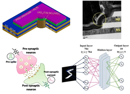 Graphical abstract: Synaptic plasticity and non-volatile memory characteristics in TiN-nanocrystal-embedded 3D vertical memristor-based synapses for neuromorphic systems