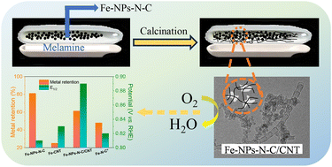 Graphical abstract: Extending conducting channels in Fe–N-C by interfacial growth of CNTs with minimal metal loss for efficient ORR electrocatalysis