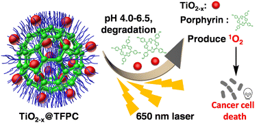 Graphical abstract: Anatase TiO2−x and zwitterionic porphyrin polymer-based nanocomposite for enhanced cancer photodynamic therapy