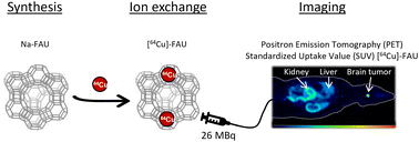 Graphical abstract: In vivo biodistribution and tumor uptake of [64Cu]-FAU nanozeolite via positron emission tomography Imaging