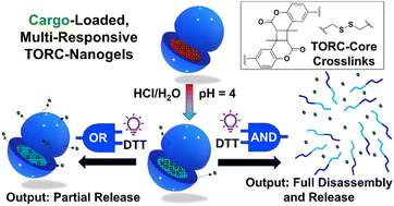 Graphical abstract: Multi-responsive nanogels with tunable orthogonal reversible covalent (TORC) core-crosslinks for AND-gate controlled release