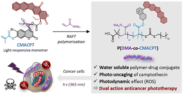 Graphical abstract: A dual action coumarin-camptothecin polymer for light responsive drug release and photodynamic therapy