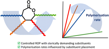 Graphical abstract: Ring-opening polymerisation of alkyl-substituted ε-caprolactones: kinetic effects of substitution position